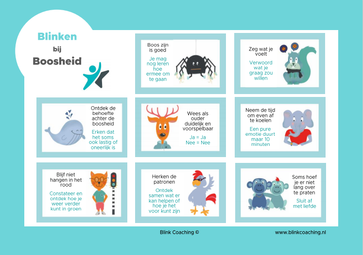 boosheid poster